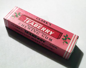 teaberry